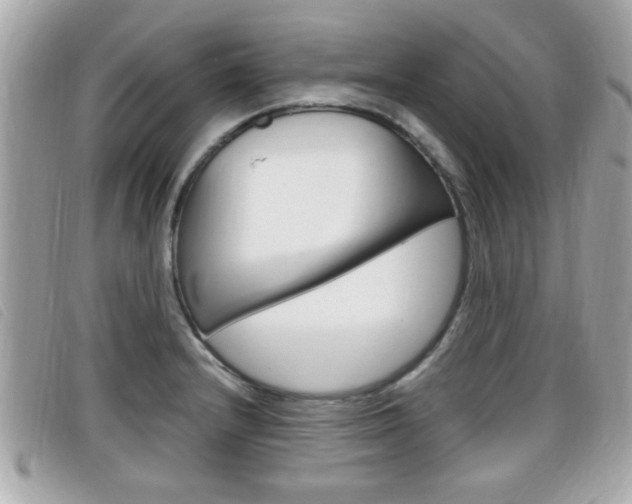 X0000099311232200805020725