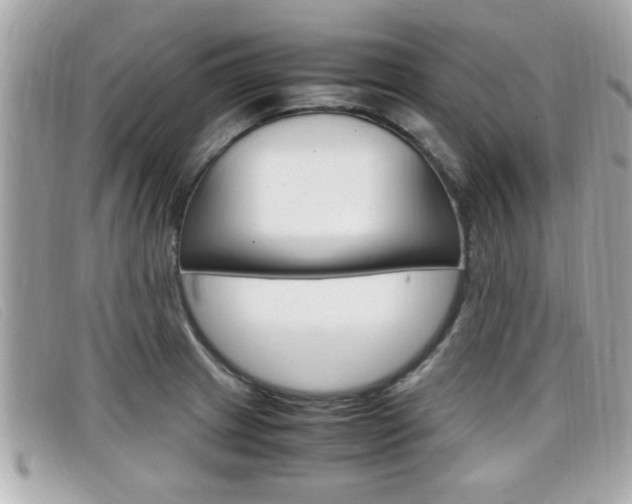 X0000099311233200805020725