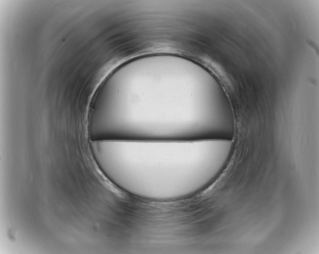 X0000099311236200805020725