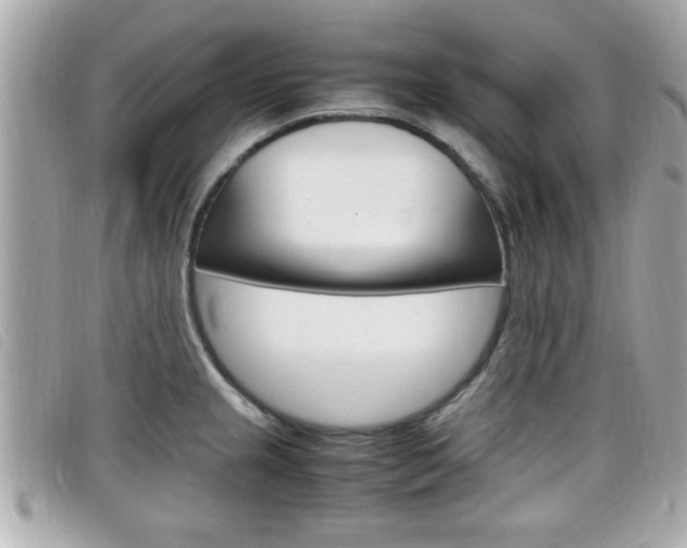 X0000099311237200805020725