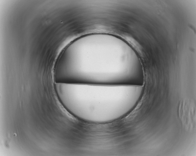 X0000099311238200805020725