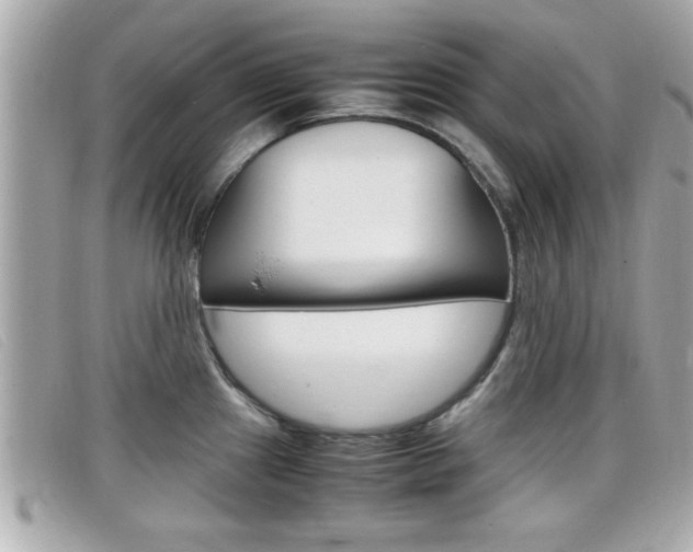 X0000099311241200805020725