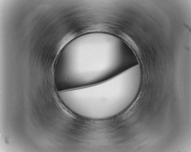 X0000099311242200805020725