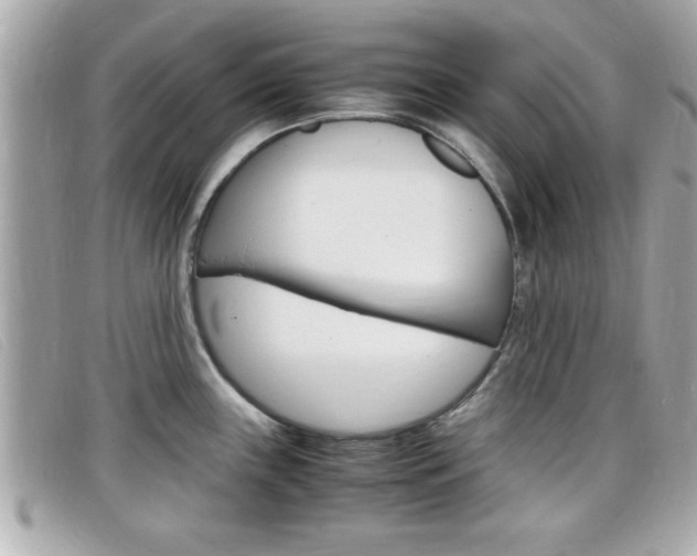 X0000099311243200805020725