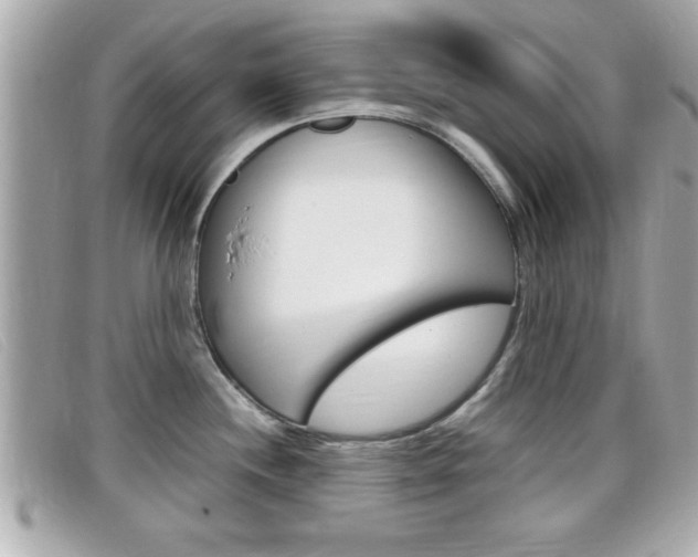 X0000099311244200805020725
