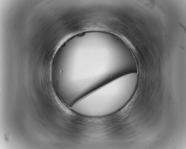 X0000099311246200805020725