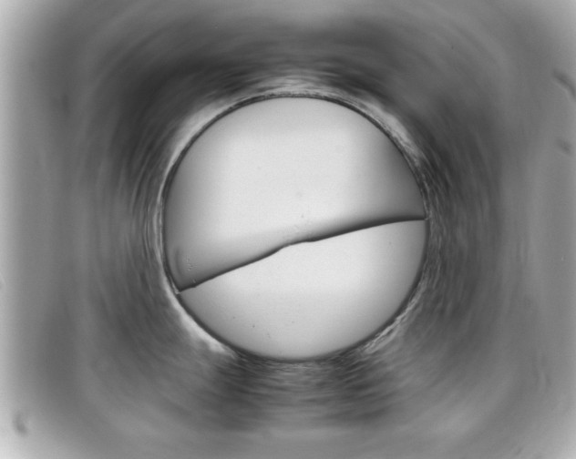 X0000099311247200805020725