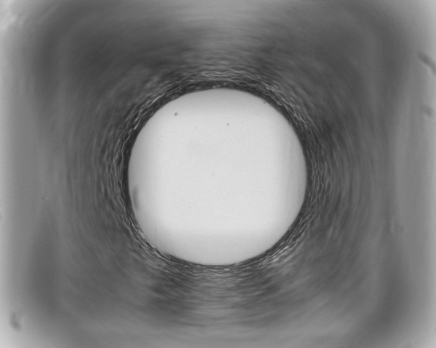 X0000099311249200805020725