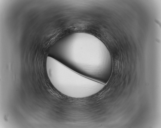 X0000099311250200805020725
