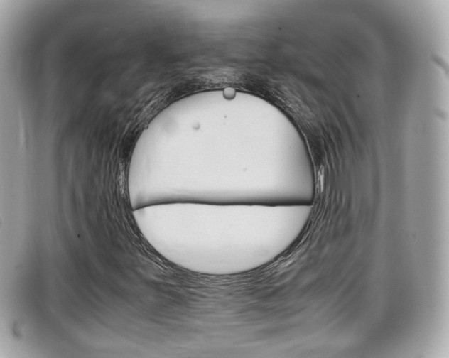 X0000099311251200805020724