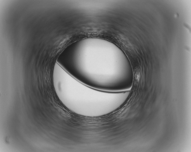X0000099311252200805020724