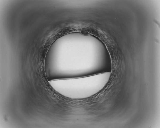 X0000099311253200805020724