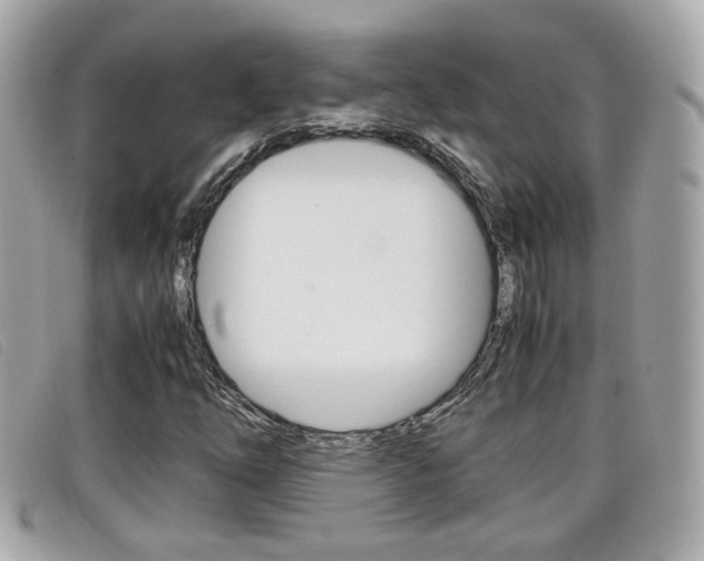 X0000099311254200805020724