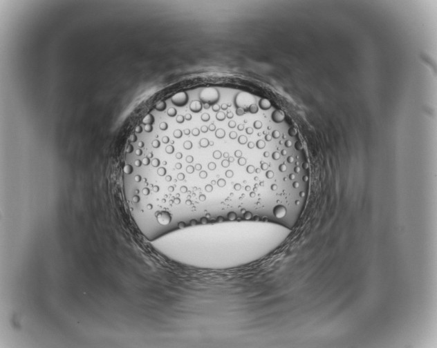 X0000099311255200805020724