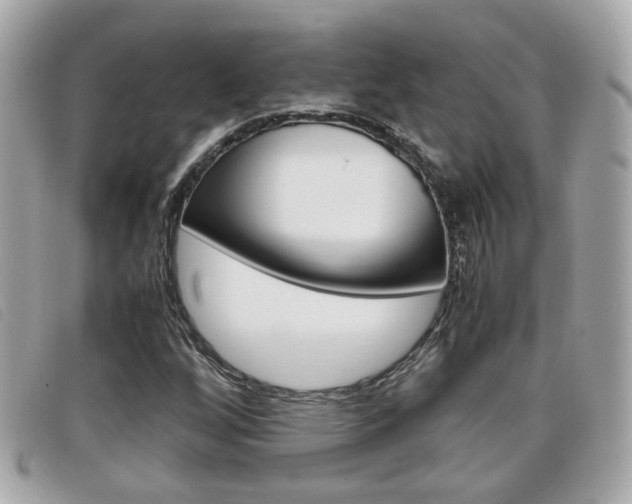 X0000099311256200805020724