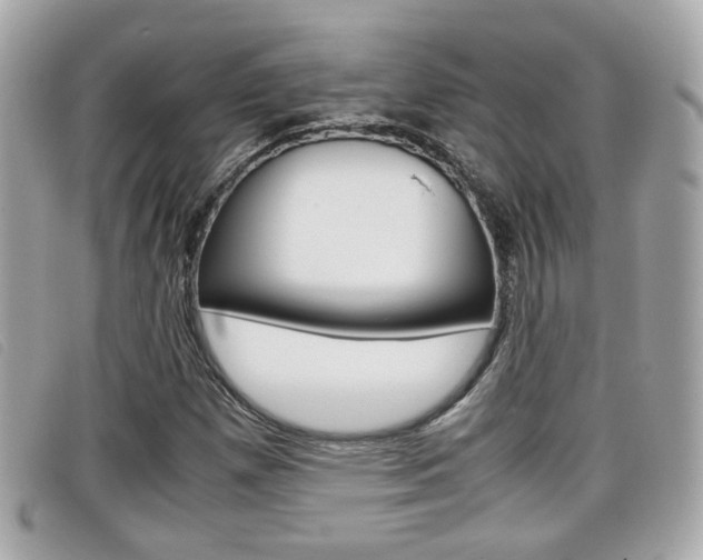 X0000099311257200805020724