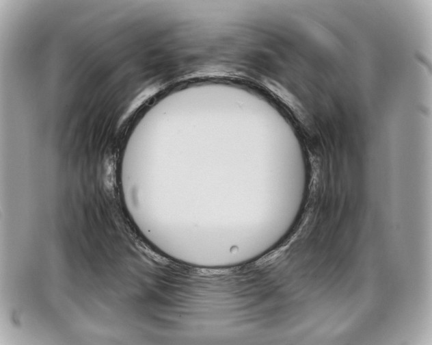 X0000099311258200805020724
