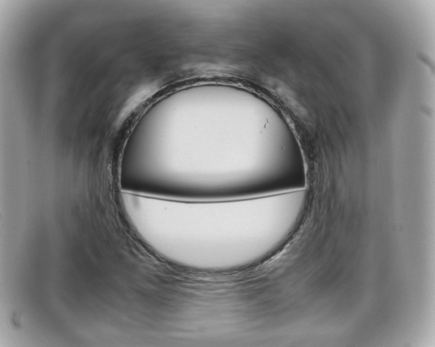 X0000099311261200805020724