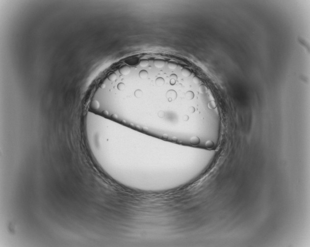X0000099311263200805020724