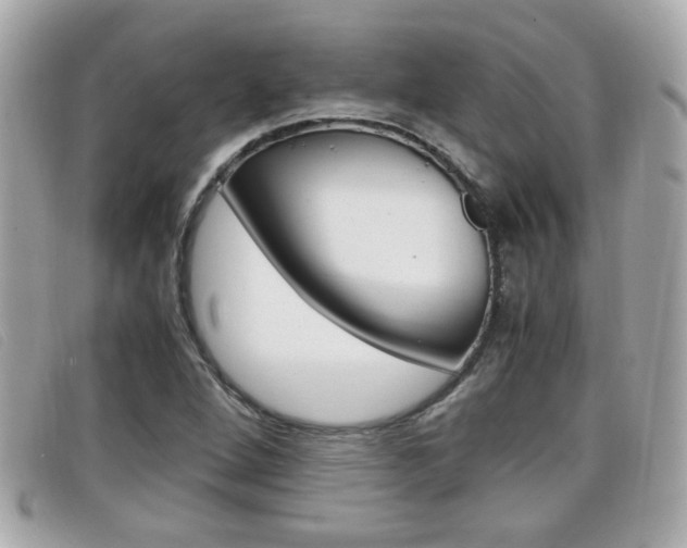 X0000099311264200805020724
