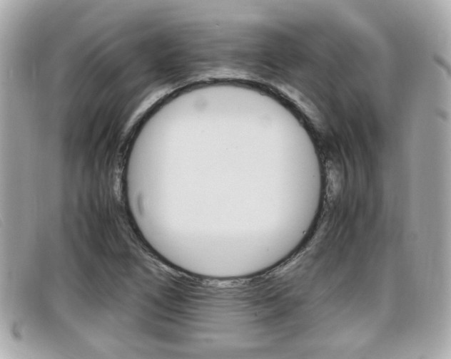 X0000099311266200805020724