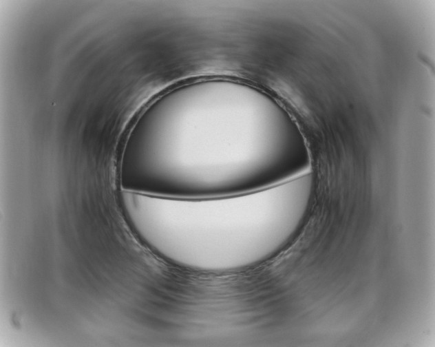 X0000099311268200805020724