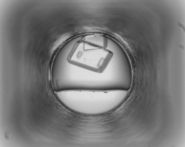 X0000099311269200805020724