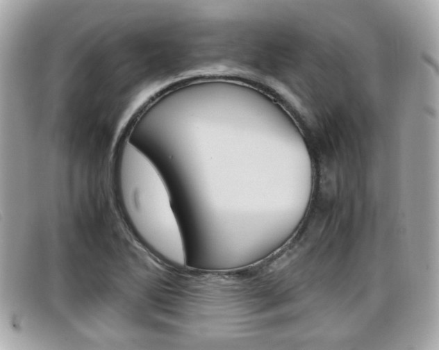 X0000099311270200805020724