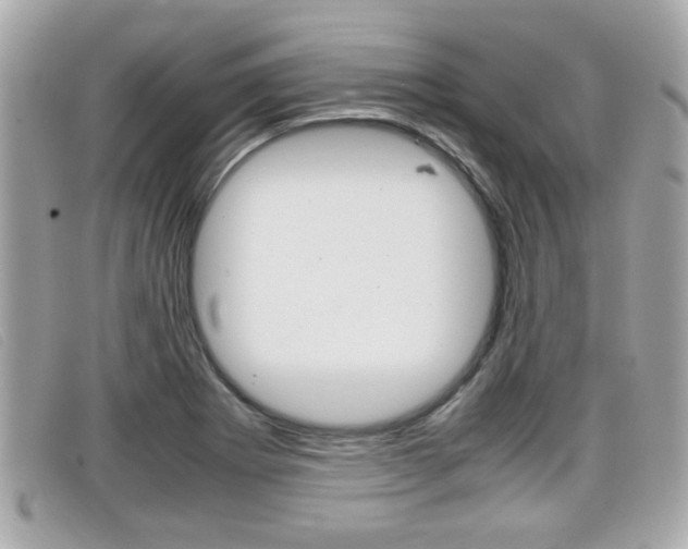 X0000099311273200805020724