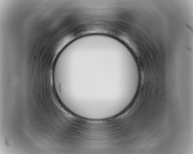 X0000099311274200805020724
