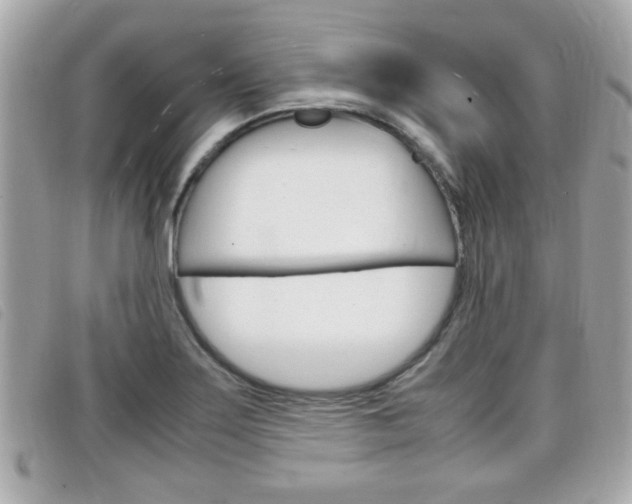 X0000099311275200805020724