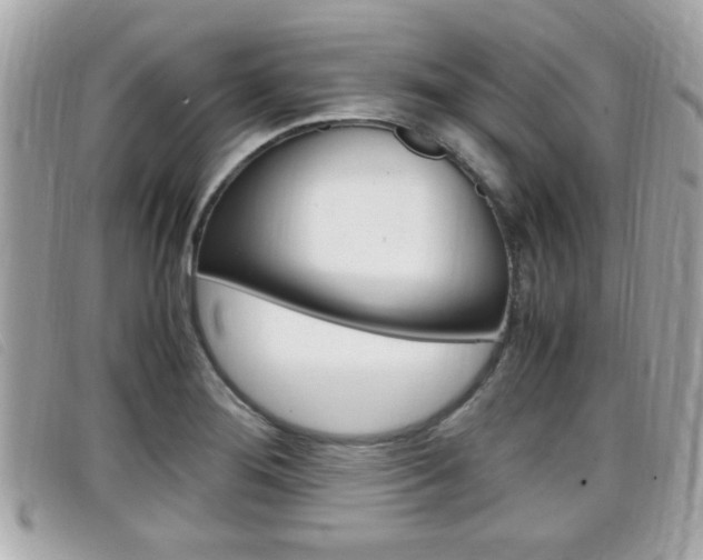 X0000099311276200805020724