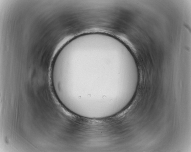 X0000099311278200805020724