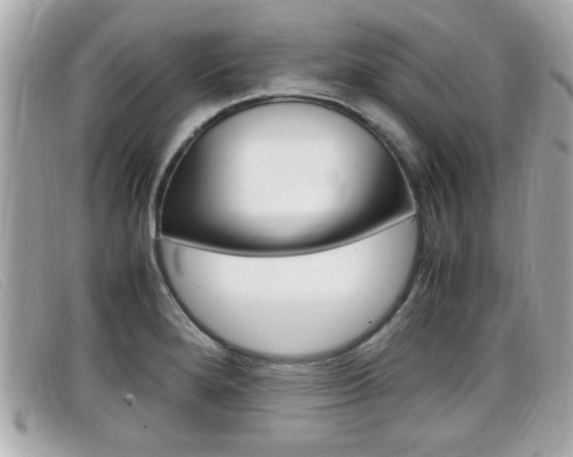 X0000099311280200805020724