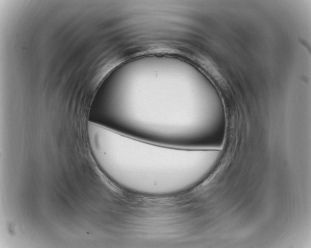 X0000099311281200805020724
