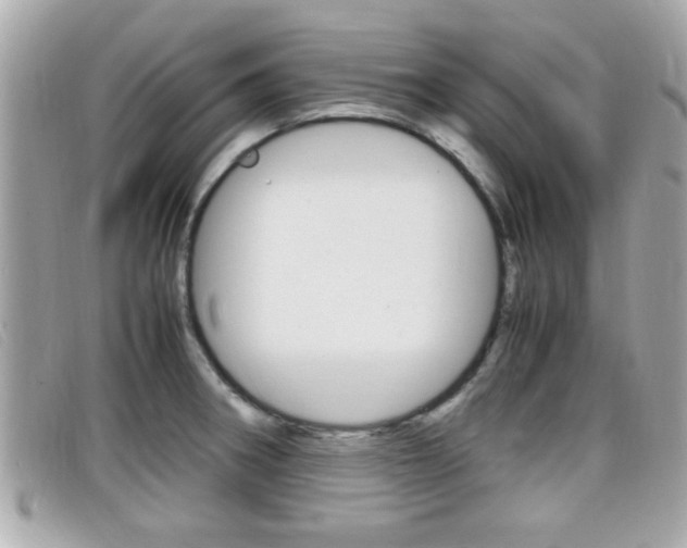 X0000099311282200805020724