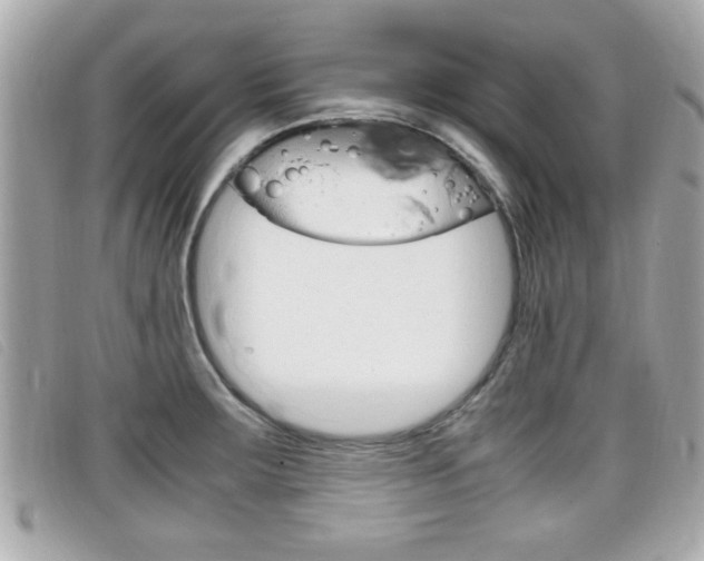 X0000099311283200805020724