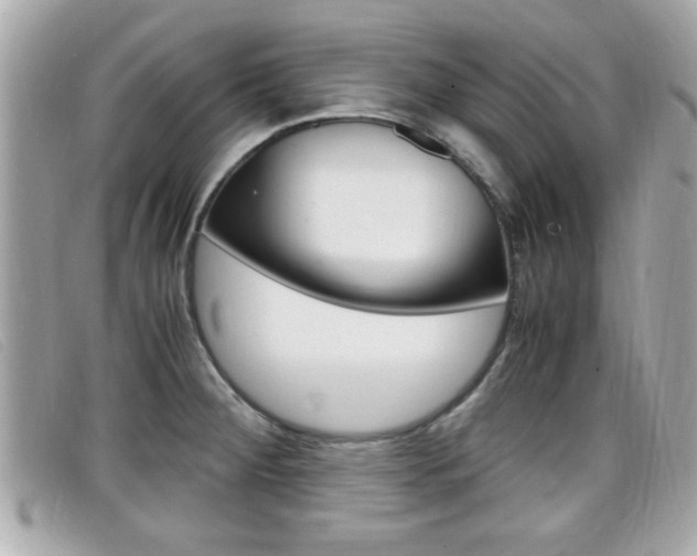 X0000099311284200805020724