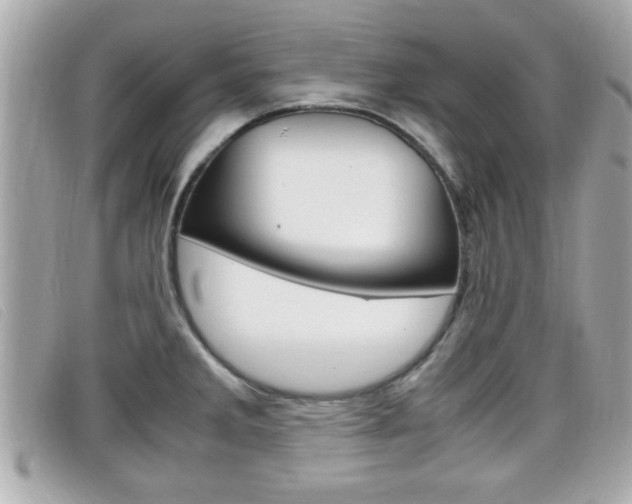 X0000099311285200805020724
