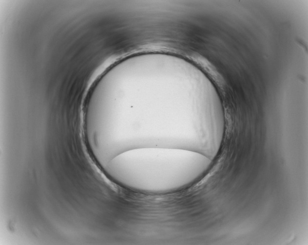 X0000099311286200805020724