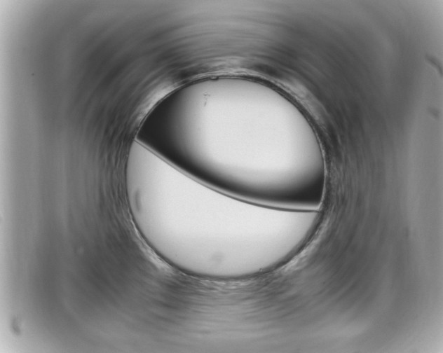 X0000099311289200805020724