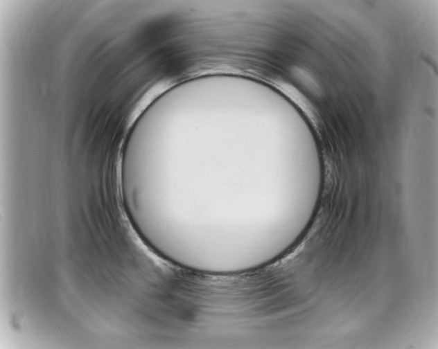 X0000099311290200805020724