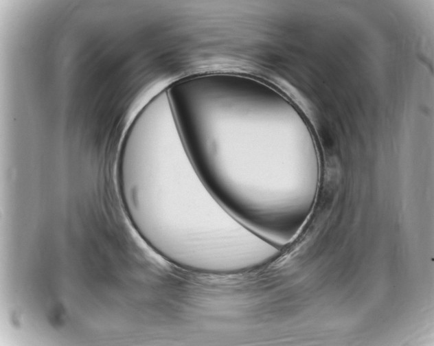 X0000099311293200805020724