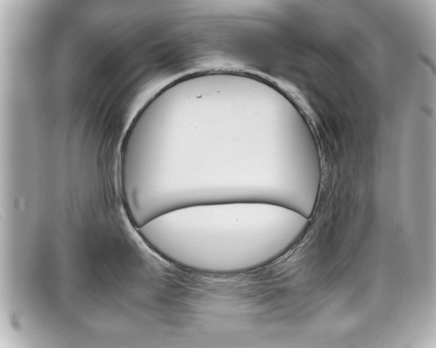 X0000099311295200805020724