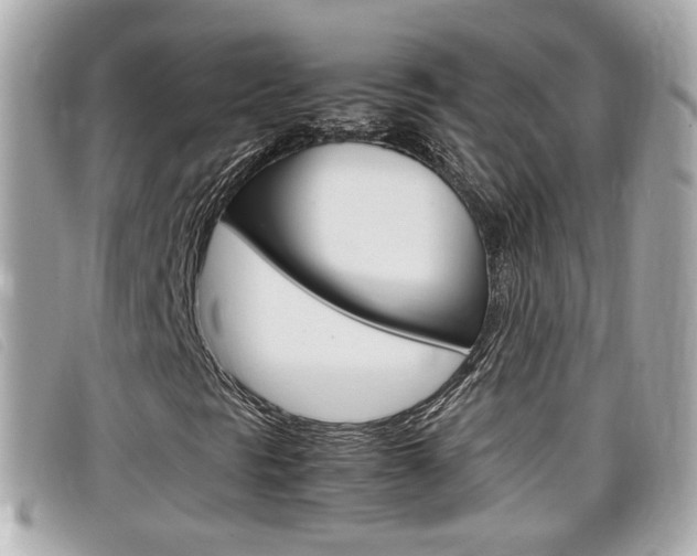 X0000099311297200805020723
