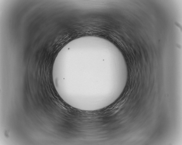 X0000099311298200805020723