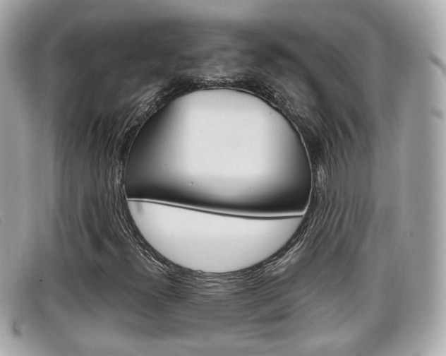 X0000099311300200805020723