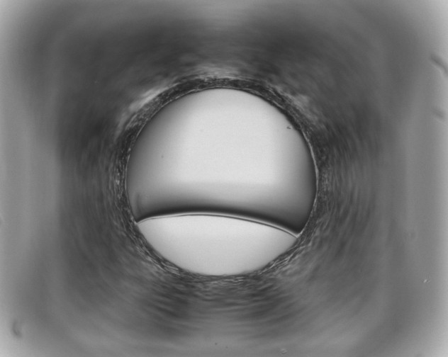 X0000099311303200805020723