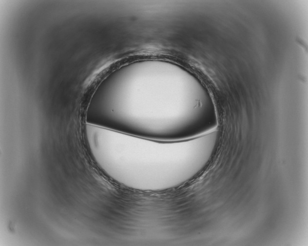 X0000099311304200805020723