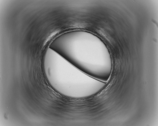X0000099311307200805020723